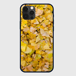 Чехол для iPhone 12 Pro Max Осенние краски - текстура листвы, цвет: 3D-черный