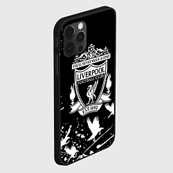 Чехол для iPhone 12 Pro Max Ливерпуль белые птицы, цвет: 3D-черный — фото 2