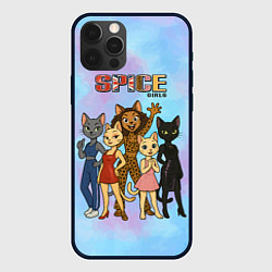 Чехол iPhone 12 Pro Max Spice girls кошки из 90х