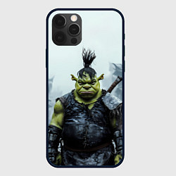 Чехол iPhone 12 Pro Max Шрек панк в доспехах