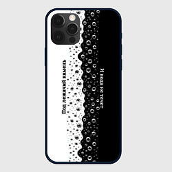 Чехол для iPhone 12 Pro Max Камень и вода черно-белый арт, цвет: 3D-черный