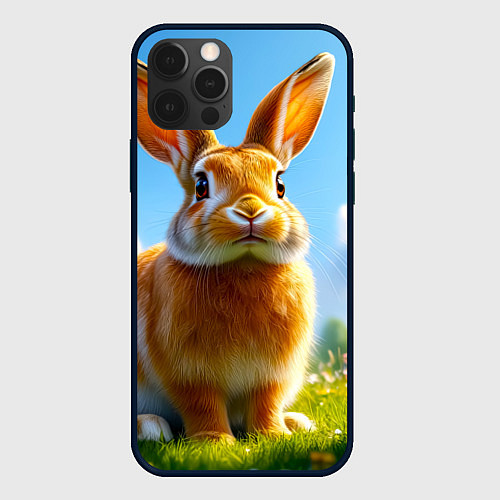Чехол iPhone 12 Pro Max Солнечный кролик на лугу / 3D-Черный – фото 1