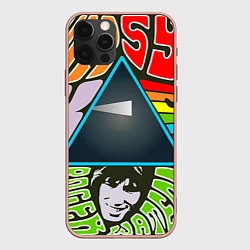 Чехол iPhone 12 Pro Max Pink Floyd