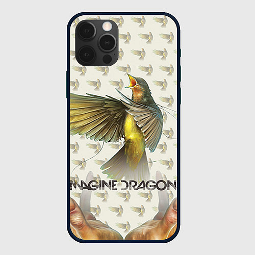 Чехол iPhone 12 Pro Max Imagine Dragons: Fly / 3D-Черный – фото 1