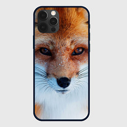 Чехол iPhone 12 Pro Max Взгляд лисы
