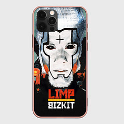 Чехол iPhone 12 Pro Max Limp Bizkit: Faith Face