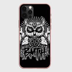 Чехол iPhone 12 Pro Max BMTH Owl