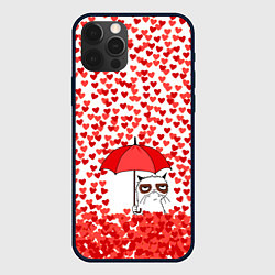 Чехол для iPhone 12 Pro Max Сердцепад и сердитый кот, цвет: 3D-черный