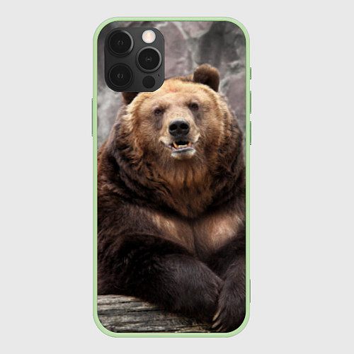 Чехол iPhone 12 Pro Max Русский медведь / 3D-Салатовый – фото 1
