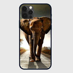 Чехол для iPhone 12 Pro Max Дикий слон, цвет: 3D-черный