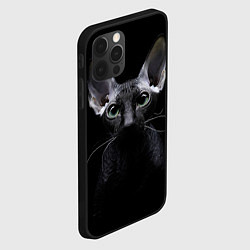 Чехол для iPhone 12 Pro Сфинкс 2, цвет: 3D-черный — фото 2