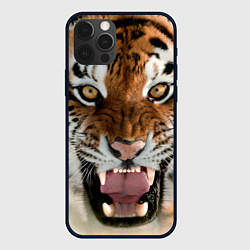 Чехол iPhone 12 Pro Свирепый тигр