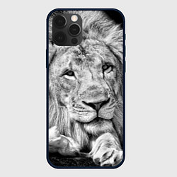 Чехол iPhone 12 Pro Милый лев