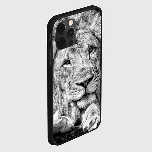 Чехол iPhone 12 Pro Милый лев / 3D-Черный – фото 2