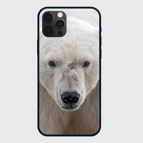 Чехол iPhone 12 Pro Белый медведь / 3D-Черный – фото 1