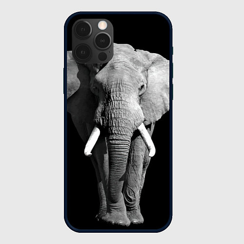 Чехол iPhone 12 Pro Старый слон / 3D-Черный – фото 1