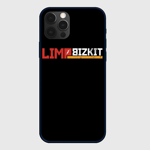 Чехол iPhone 12 Pro Limp Bizkit / 3D-Черный – фото 1