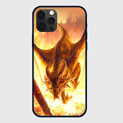 Чехол для iPhone 12 Pro Дракон, цвет: 3D-черный