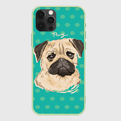 Чехол iPhone 12 Pro Pug Mops
