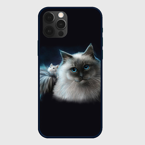 Чехол iPhone 12 Pro Кошка и мышка / 3D-Черный – фото 1