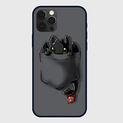 Чехол для iPhone 12 Pro Фурия в кармане, цвет: 3D-черный