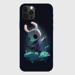 Чехол iPhone 12 Pro Hollow Knight