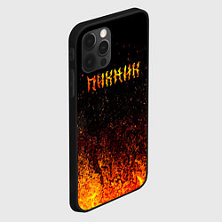 Чехол для iPhone 12 Pro Пикник в огне, цвет: 3D-черный — фото 2