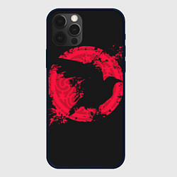 Чехол iPhone 12 Pro Vikings