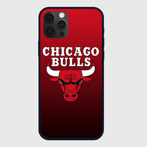 Чехол iPhone 12 Pro CHICAGO BULLS / 3D-Черный – фото 1