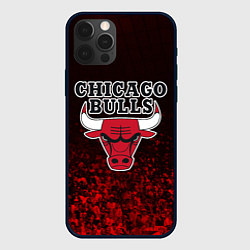 Чехол для iPhone 12 Pro CHICAGO BULLS, цвет: 3D-черный