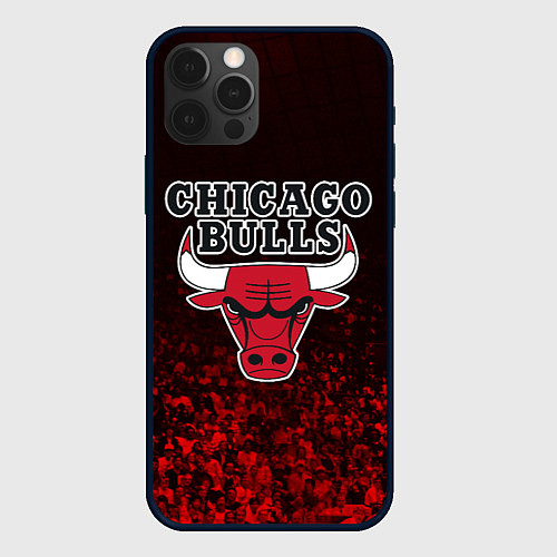 Чехол iPhone 12 Pro CHICAGO BULLS / 3D-Черный – фото 1