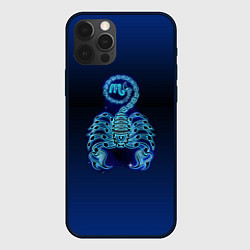 Чехол для iPhone 12 Pro Знаки Зодиака Скорпион, цвет: 3D-черный