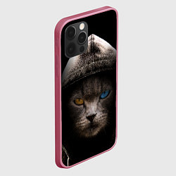 Чехол для iPhone 12 Pro Уличный кот, цвет: 3D-малиновый — фото 2