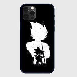 Чехол iPhone 12 Pro Mini Dragon Ball