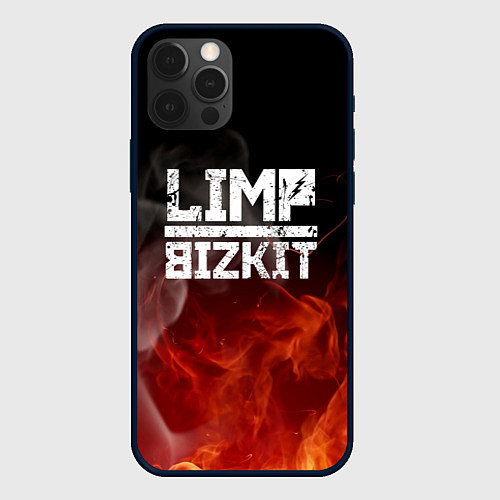 Чехол iPhone 12 Pro LIMP BIZKIT / 3D-Черный – фото 1