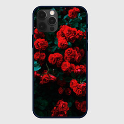 Чехол iPhone 12 Pro Розы