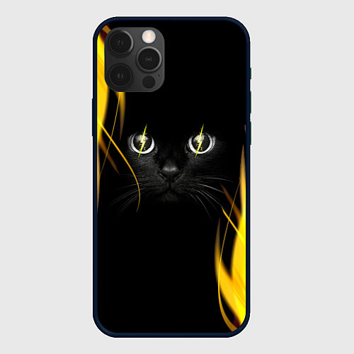 Чехол iPhone 12 Pro Грозовой кошак / 3D-Черный – фото 1