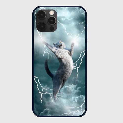 Чехол iPhone 12 Pro Грозовой кошак / 3D-Черный – фото 1