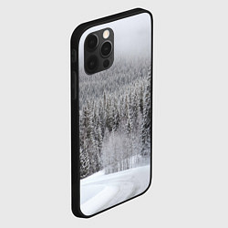 Чехол для iPhone 12 Pro Зимняя природа, цвет: 3D-черный — фото 2