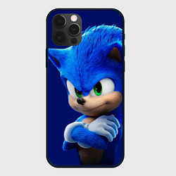 Чехол iPhone 12 Pro SONIC