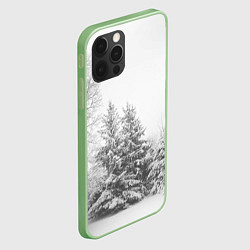 Чехол для iPhone 12 Pro Winter Storm, цвет: 3D-салатовый — фото 2