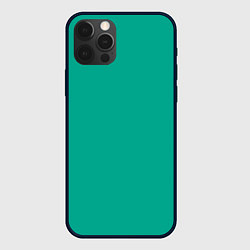 Чехол iPhone 12 Pro Зеленый