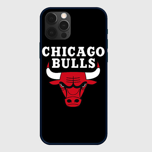 Чехол iPhone 12 Pro CHICAGO BULLS / 3D-Черный – фото 1