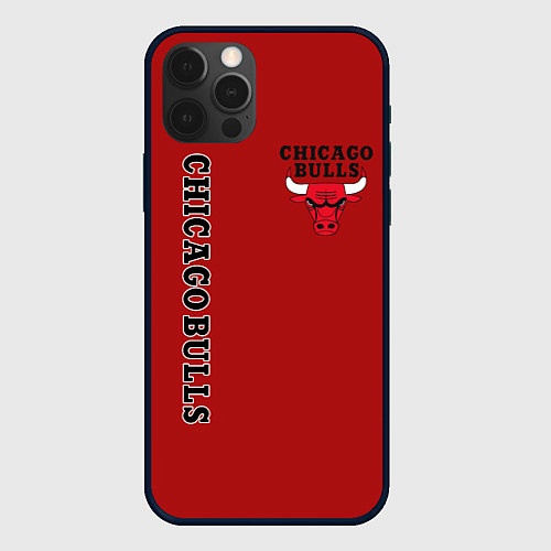 Чехол iPhone 12 Pro CHICAGO BULLS / 3D-Черный – фото 1