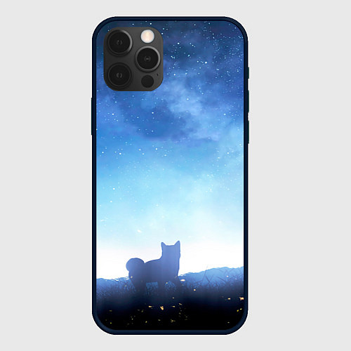 Чехол iPhone 12 Pro Силуэт корги ночь космос дымка / 3D-Черный – фото 1