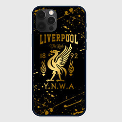 Чехол для iPhone 12 Pro LIVERPOOL ЛИВЕРПУЛЬ, цвет: 3D-черный