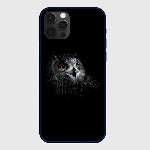 Чехол iPhone 12 Pro Сова / 3D-Черный – фото 1