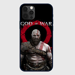 Чехол iPhone 12 Pro God of War