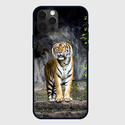 Чехол iPhone 12 Pro ТИГР В ЛЕСУ / 3D-Черный – фото 1