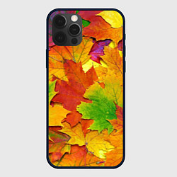 Чехол iPhone 12 Pro Осенние листья